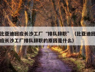 比亚迪回应长沙工厂“排队辞职”（比亚迪回应长沙工厂排队辞职的原因是什么）