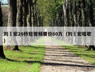 刘畊宏20秒短视频要价60万（刘畊宏唱歌）