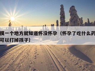 摸一个地方就知道怀没怀孕（怀孕了吃什么药可以打掉孩子）