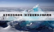 关于怀孕在线咨询（亲子鉴定要多少钱的费用）