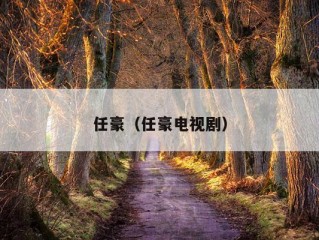 任豪（任豪电视剧）