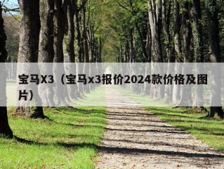 宝马X3（宝马x3报价2024款价格及图片）