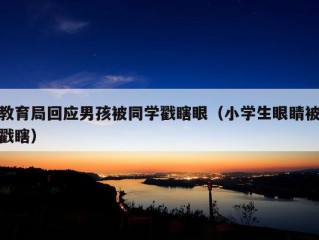 教育局回应男孩被同学戳瞎眼（小学生眼睛被戳瞎）