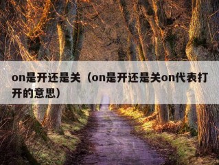 on是开还是关（on是开还是关on代表打开的意思）