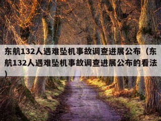 东航132人遇难坠机事故调查进展公布（东航132人遇难坠机事故调查进展公布的看法）