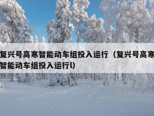 复兴号高寒智能动车组投入运行（复兴号高寒智能动车组投入运行l）