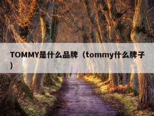 TOMMY是什么品牌（tommy什么牌子）