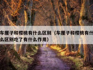 车厘子和樱桃有什么区别（车厘子和樱桃有什么区别吃了有什么作用）