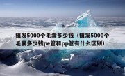 植发5000个毛囊多少钱（植发5000个毛囊多少钱pe管和pp管有什么区别）